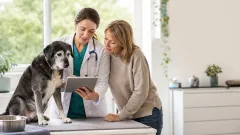 Perro senior en una revisión veterinaria mientras su tutora y una veterinaria consultan resultados